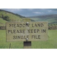 Upper Swaledale Comic Sheep Farming Sign Yorkshire Signpost Postcard