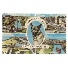 multiview, GT. YARMOUTH, NORFOLK used vintage postcard H Coates & Son 1966 pm =