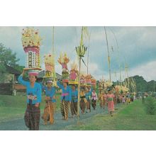 Bali Indian Procession Food Taken To Temple Postcard