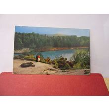 THE BLUE POOL, nr. BOURNEMOUTH, DORSET used vintage postcard 1965 pm =