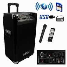 beFree Sound Sleek 10 Inch Professional Portable Bluetooth PA Speaker