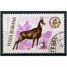 1965 Michel 2460 - cancelled