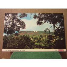 WHITE HORSE, KILBURN, YORKSHIRE. unused postcard, by E T W Dennis