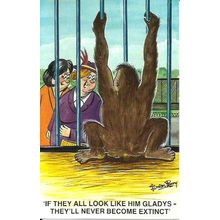 BAMFORTH COMIC "Never Become Extinct" Postcard (2028)