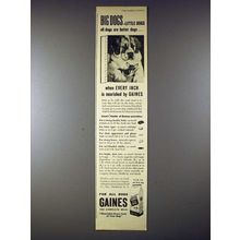 1945 Gaines Dog Food Ad - St. Bernard, Chihuahua