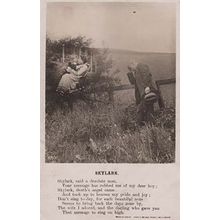Skylark Wife Wifes Gone To Heaven Funeral Remembrance Antique Songcard Postcard