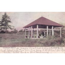 Algonquin Springs St Andrews Canada Old Postcard