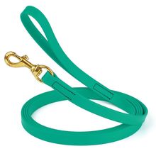 Dog Pet Leash Teal w/ Brass Hardware W 3/4" - L20'