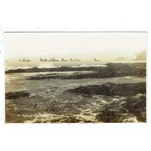 Cornwall postcard Padstow Fishing Fleet off Pentire by Maycock