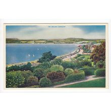 The Estuary Exmouth Postcard Devon 0261
