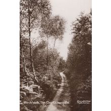 Birch Walk The Chart Limpsfield Surrey RPC Postcard