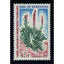 FSAT TAAF Kerguelen cabbage Antarctic Flora 45f 1972 MNH SG#32 MI#81 Sc#54