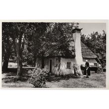 Lady Broom Sweeping Gelderland Veluwe Heidehut Holland RPC Postcard