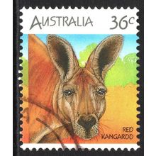 AUSTRALIA 1986: WILDLIFE DEFINITIVES - 36c RED KANGAROO USED (G1)