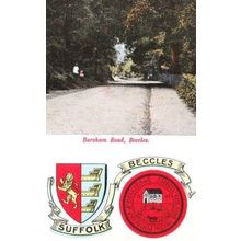 Beccles Suffolk Barsham Road Vintage 1908 Postcard