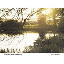 Throxenby Mere Scarborough River View Yorkshire Village Rare Photo Postcard
