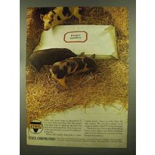 1965 Ethyl Oil Ad - Foster Mother