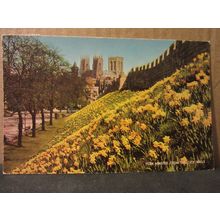 YORK MINSTER AND CITY WALLS used postcard by J. Salmon Ltd 1976 pm #