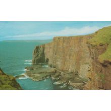 The Cliffs Of Handa Island 1970s Scottish Postcard