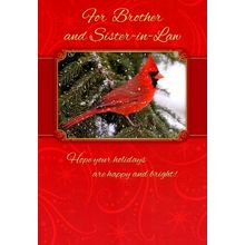 For Brother & Sister-In-Law Hope Your Holidays Are Happy & Bright - 20998