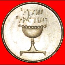 FRANCE (1981-1985): PALESTINE (israel)★1 SHEKEL 5742 (1982)★LOW START★NO RESERVE