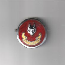 Scout Metal Cub Master Hat Badge UK Pre 1967 - ++REPRODUCTION++ (BY335)