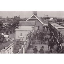 Lydd Station in 1909 Ashford Kent Railway Royal Horse Artillery Postcard