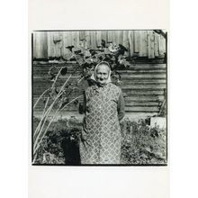 Postal Strike Margaret Mitchell Woman & Sunflower Photo Art Postcard