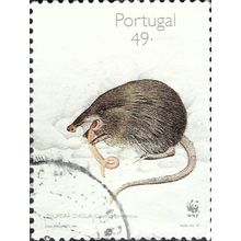 PORTUGAL, MAMMAL, Pyrenean Desman ,Galemys pyrenaicus II, white 1997, 49Esc