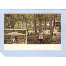 New Jersey Pattenburg Picnic Grounds At Bellewood On The Lehigh Valley Rai~1100