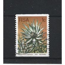 SouthAfrica.SG431 1c Leucadendron Argenteum.Fine Used.Sep25t