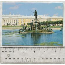 1996 postcard St Petersburgh, Peterhof, The Neptune Fountain