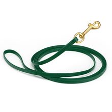 Dog Pet Leash Hunter Green w/ Brass Hardware W 3/8" - L10'