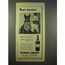 1946 Black & White Scotch Ad - That's Service!