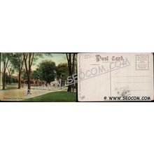 CT New London Postcard Hempstead St From Pk Street Scene w/Horses & Wagons~2201
