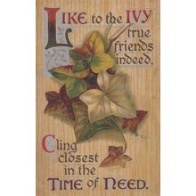 Like To The Ivy True Friends Cling Together Proverb Antique Friendship Postcard