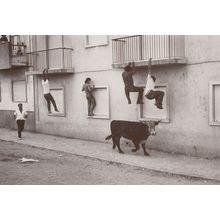 Portugal Climbing House Burglary Race From Mad Bull Chase Photo Postcard