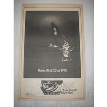 1973 Rare Bird Epic Forest Album Ad - Rare Bird, Circa 1973