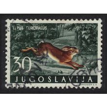 Yugoslavia Brown hare Forest Mammal 1960 CTO SG#959 MI#920 Sc#575