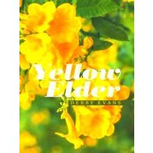 Yellow Elder