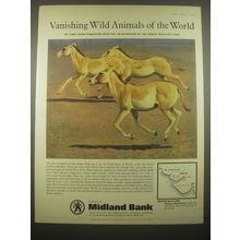 1966 Midland Bank Ad - Indian Wild Ass - Vanishing Wild Animals of the World