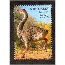 AUS 2008 55c 'MEGAFAUNA -GENYORNIS' FINE USED (EBID29-063)