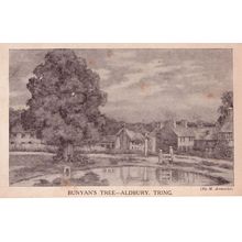 Bunyan's Elm Tree Aldbury Tring Herts Antique Postcard