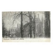 Winchester Cathedral And Avenue.