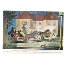 LIONESS ATTACKING HORSES IN EXETER unused REPRO postcard Post Office (A) #