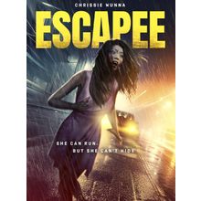 the-escapee_ddirejq5 Poster Canvas Movie Film Print A0 A1 A2 A3 A4 A5 A6 Art Wal
