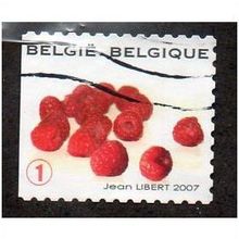 BEL 2007 (52c)(S/A) 'FRUIT- RASPBERRIES' FINE USED (EBID10406)