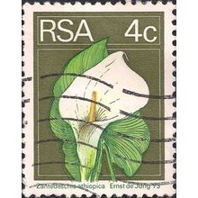 SOUTH AFRICA, FLOWERS, Arum Lily, green 1974, 4c