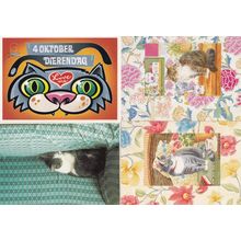 Amsterdam Love Me Cats By Crockery 4x Cat Dutch Postcard s