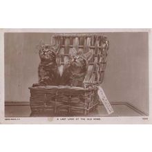 A Last Look At The Old Home Cats Removal Luggage Antique Real Photo Postcard